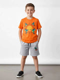 Hummingbird Summer Set